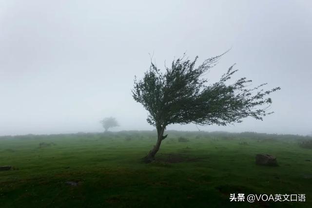 大雨≠big rain, 小雨≠small rain! 正确说法是这样的