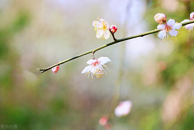 写给心里的爱人：一次真爱，一生相思