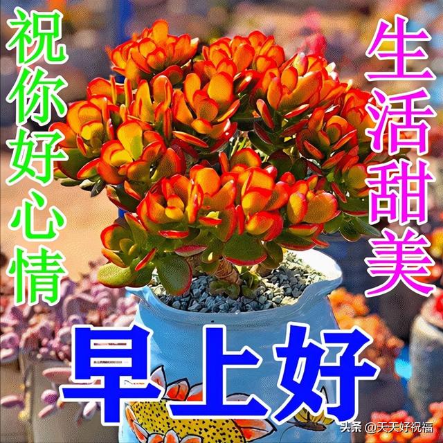 冬日最新特漂亮早上好鲜花动画图片带祝福语 最美早安问候图片带字