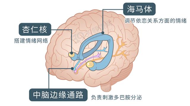 干货：夫妻生活时，放什么音乐最适合？教你从科学的角度挑选