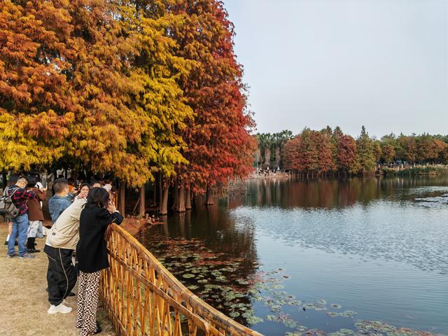 地铁直达！厦门地铁官方推荐的6个周末踏春美景，你要打卡哪一个