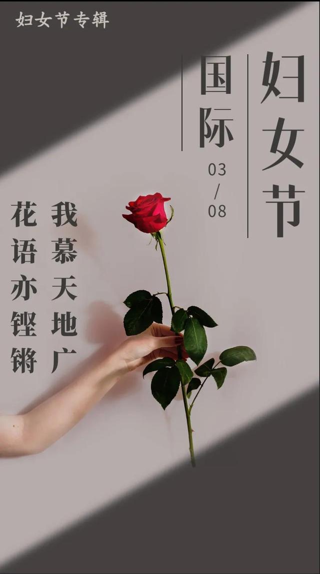 每日一签「妇女节专辑」03/08