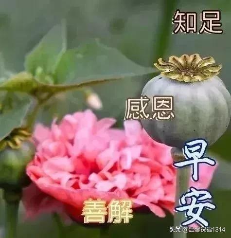 祝福带着花香，问候带着温暖，思念带着温馨，短信带着吉祥，早安