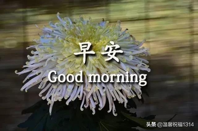 祝福带着花香，问候带着温暖，思念带着温馨，短信带着吉祥，早安