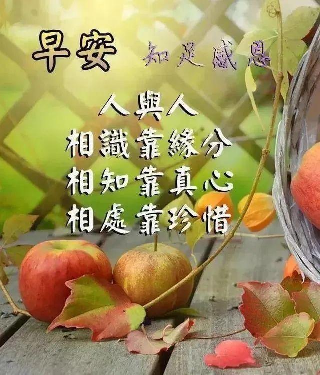 早安朋友，请接受我的祝福：让微笑爬上脸庞，早安