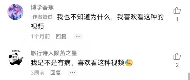 成年人的解压方式：凌晨三点看赶海片，爽到头皮发麻