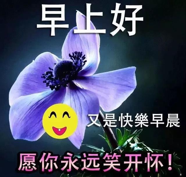 坎坷人生路，就是一种感受，一种经历，一种体会，早安