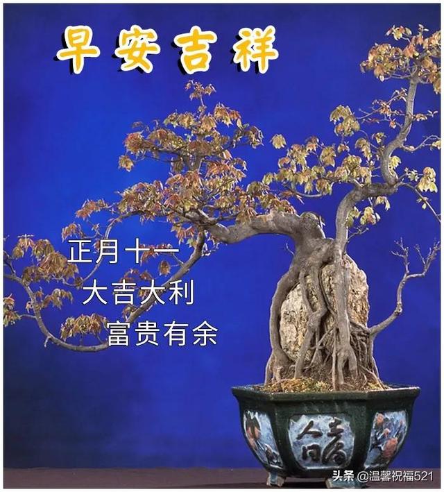 2月11日正月十一早上好祝福图片带字，最新正月十一祝福语大全