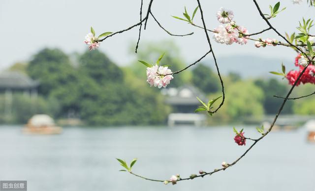 “清明节”英语怎么说？千万别直译成"Qingming Day"！