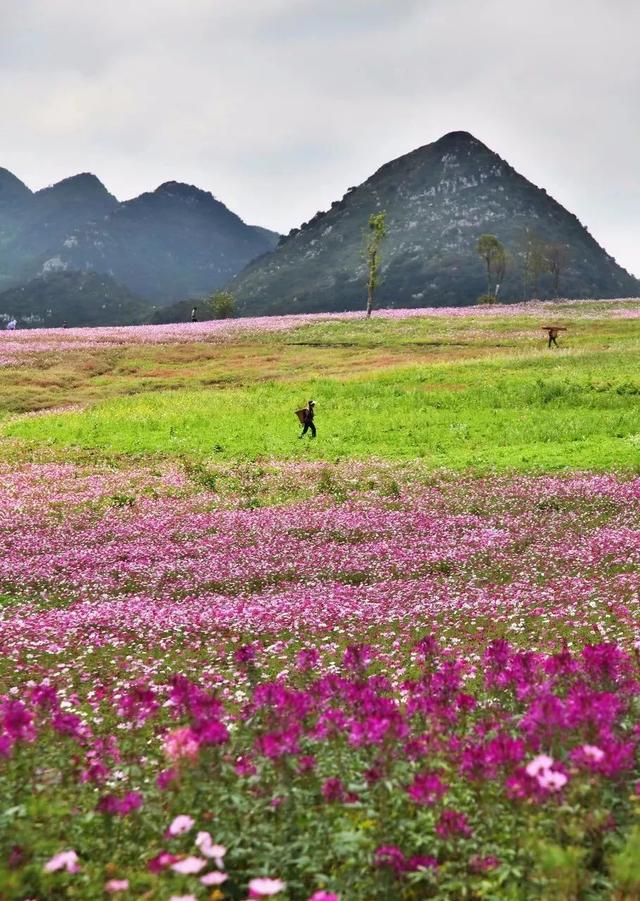 16个夏天最值得去的地方，用一场旅行，开启美好的下半年