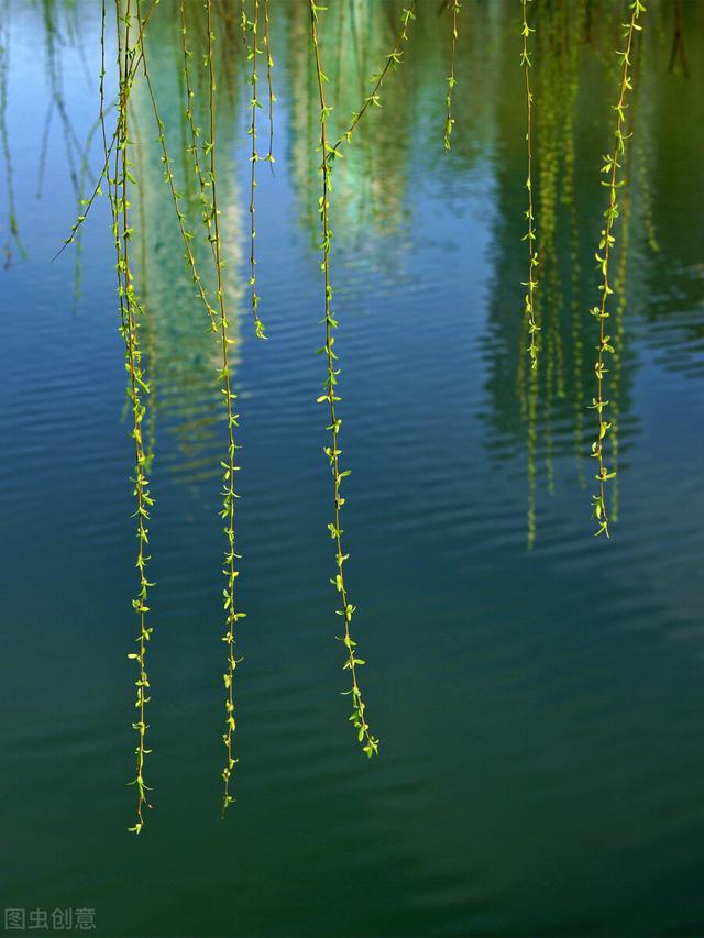 伤春的九首宋词，你读过几首？最后一首感慨时光流逝，值得收藏