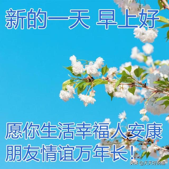 2月20日最美早上好祝福图片 温馨的早晨好问候短语