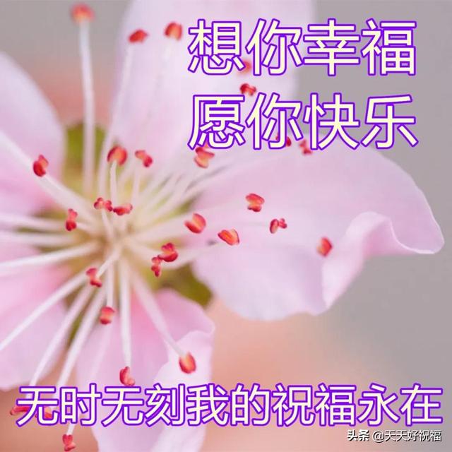 2月20日最美早上好祝福图片 温馨的早晨好问候短语