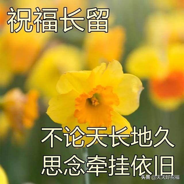 2月20日最美早上好祝福图片 温馨的早晨好问候短语