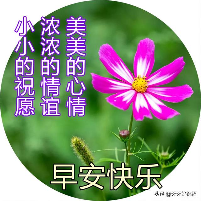 2月20日最美早上好祝福图片 温馨的早晨好问候短语