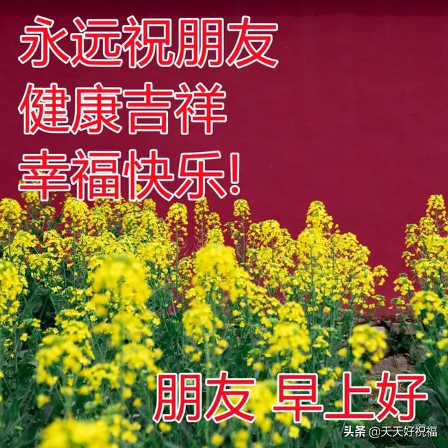 2月20日最美早上好祝福图片 温馨的早晨好问候短语