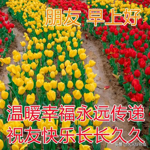 2月20日最美早上好祝福图片 温馨的早晨好问候短语