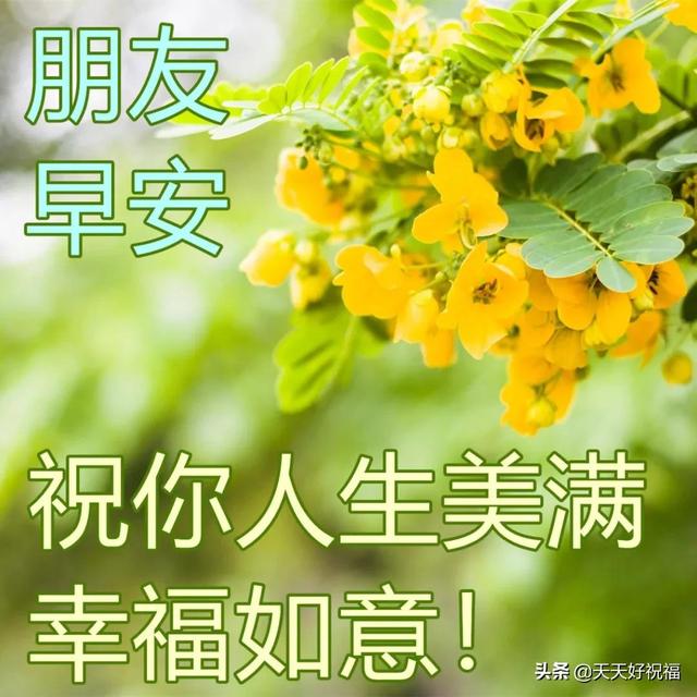 2月20日最美早上好祝福图片 温馨的早晨好问候短语