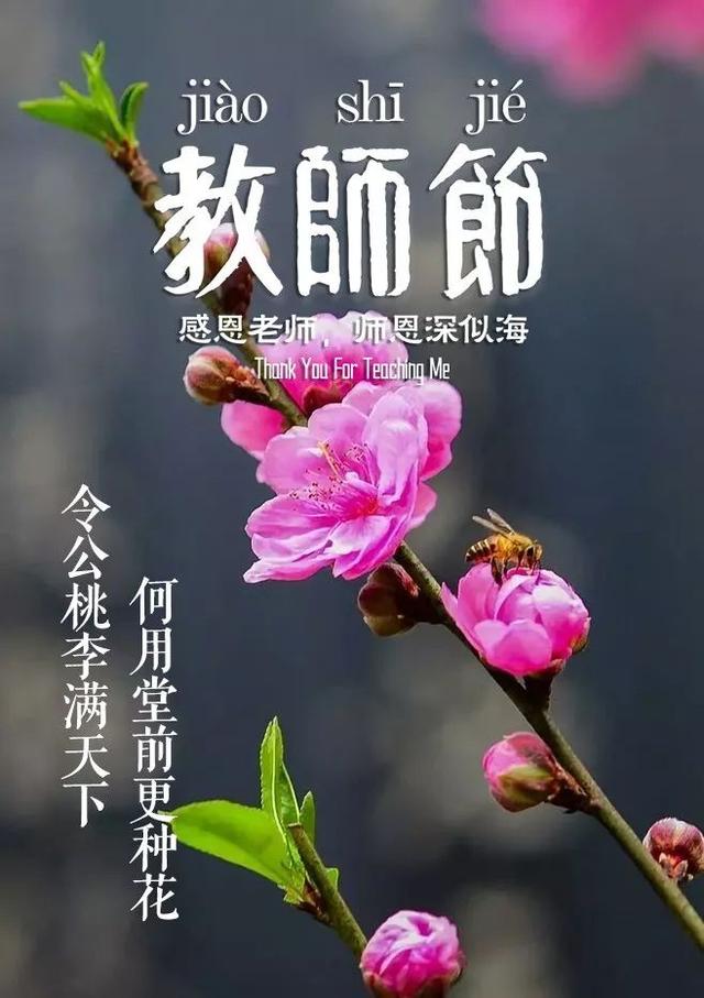 「诗词鉴赏」教师节，那些赞美老师的诗句