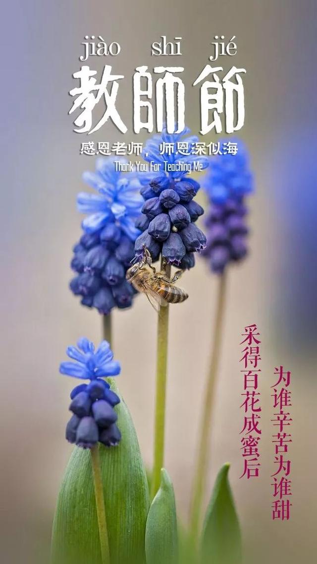 「诗词鉴赏」教师节，那些赞美老师的诗句