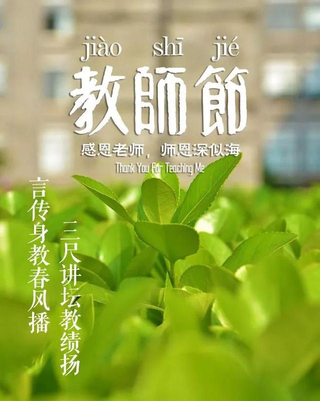 「诗词鉴赏」教师节，那些赞美老师的诗句