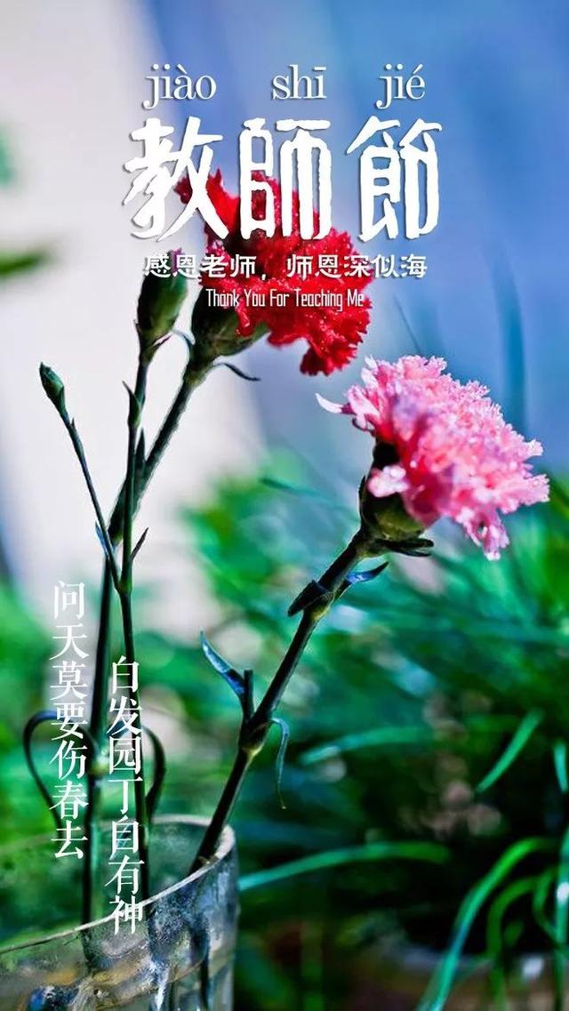 「诗词鉴赏」教师节，那些赞美老师的诗句