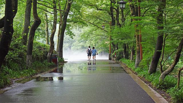 人生之旅，一路艰辛，一路风景