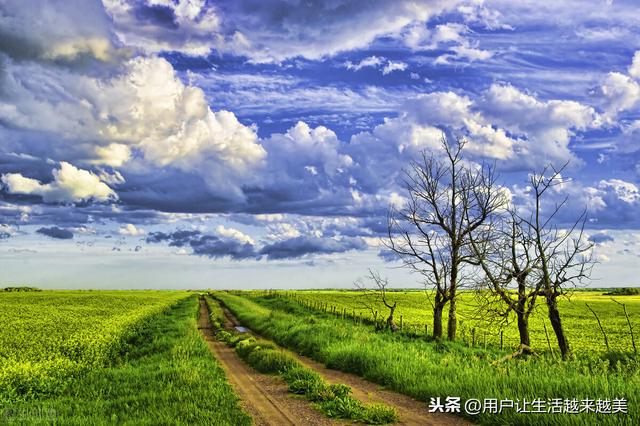 看书学习有什么好处