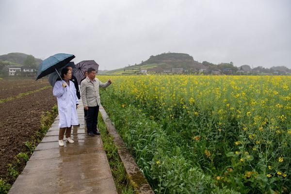 不一样的油菜花