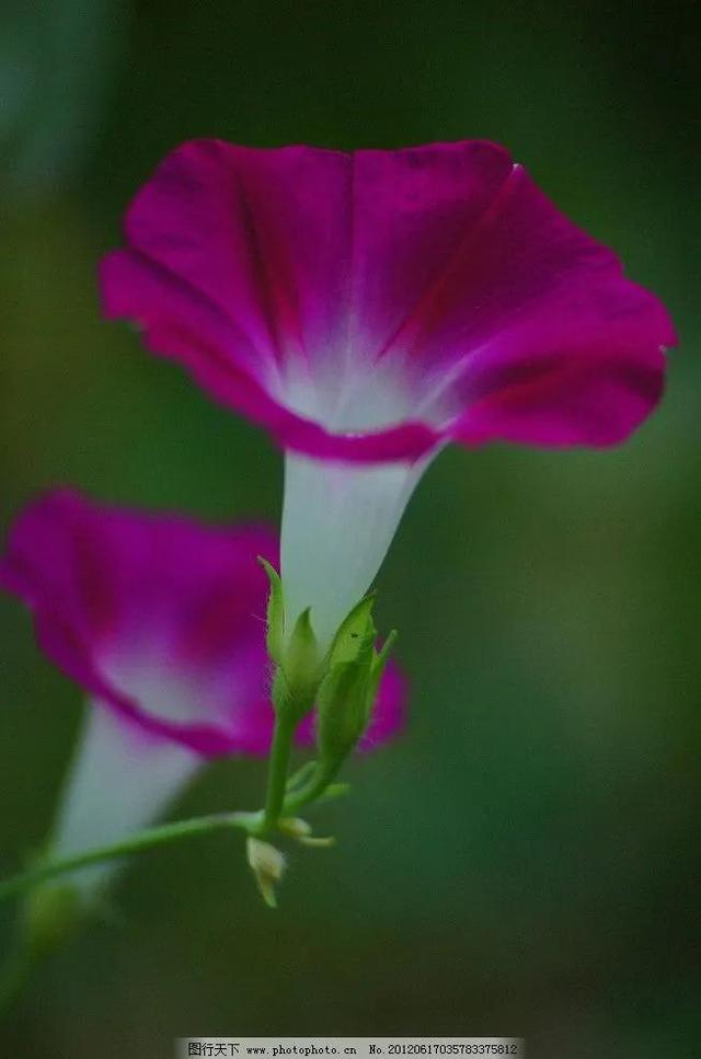 三月里花香飘飘，春光明媚，是与花相伴日子