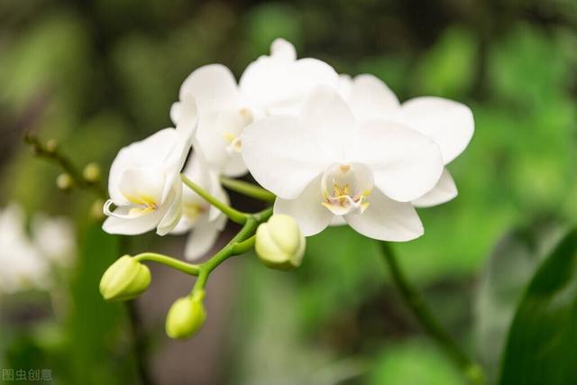 三月里花香飘飘，春光明媚，是与花相伴日子