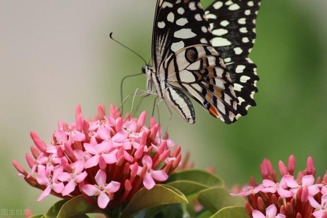 三月里花香飘飘，春光明媚，是与花相伴日子