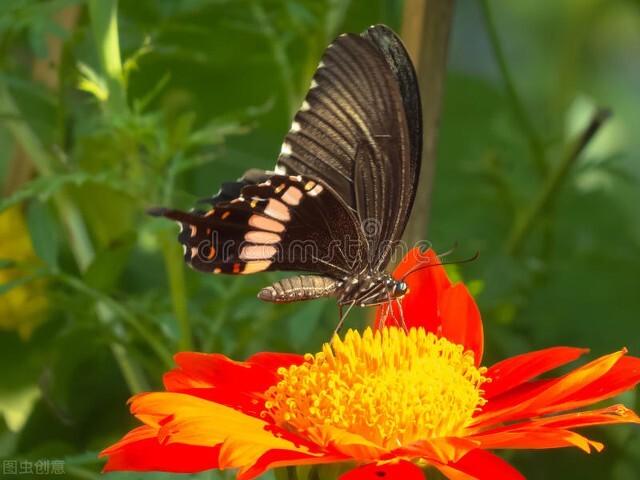 三月里花香飘飘，春光明媚，是与花相伴日子