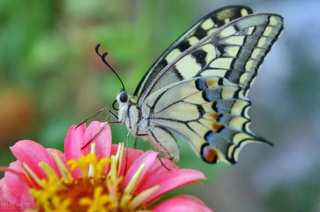 三月里花香飘飘，春光明媚，是与花相伴日子