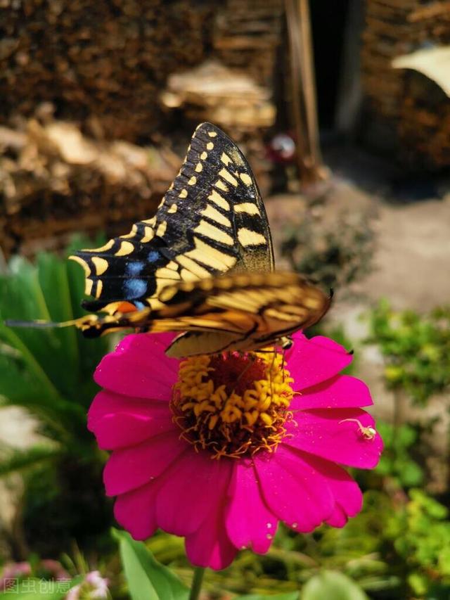 三月里花香飘飘，春光明媚，是与花相伴日子