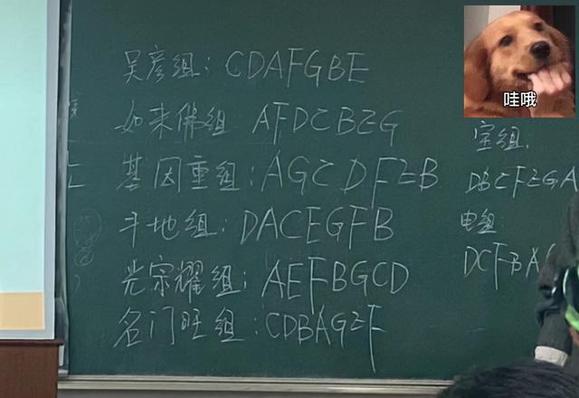 老师让每个小组取组名，奇葩组名走红了，评论区一度“场面失控”