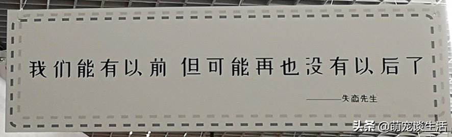 盘点那些分手后的“祝福”，总有一句，能扎到你的内心深处