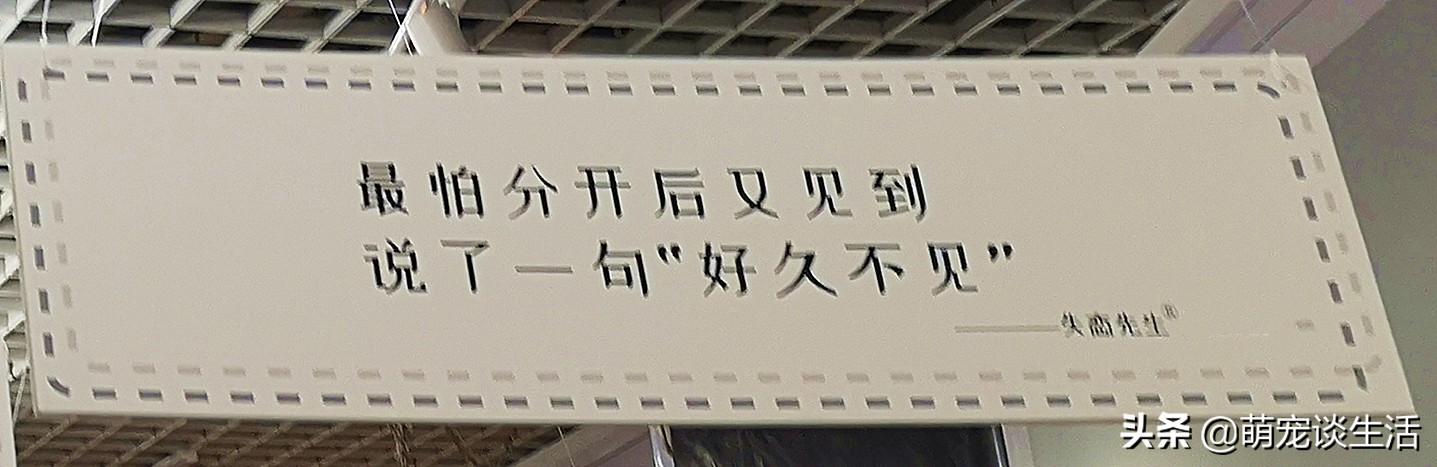 盘点那些分手后的“祝福”，总有一句，能扎到你的内心深处