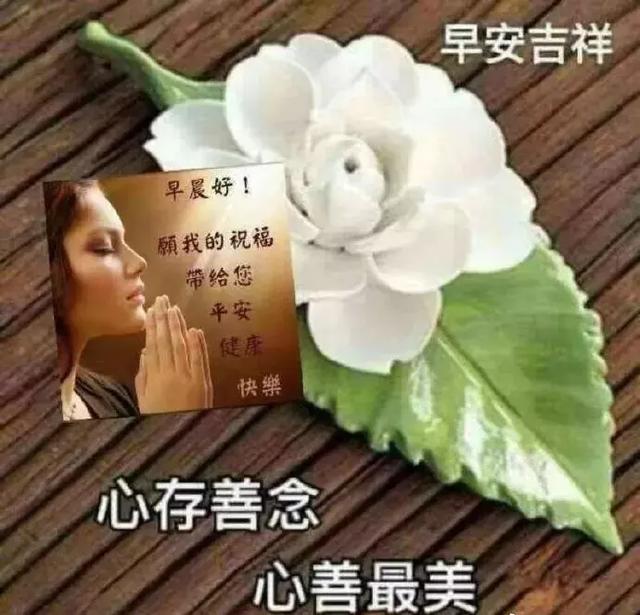 时光不言不语，记录了友谊，问候不忘不断，传递着祝福，早晨好