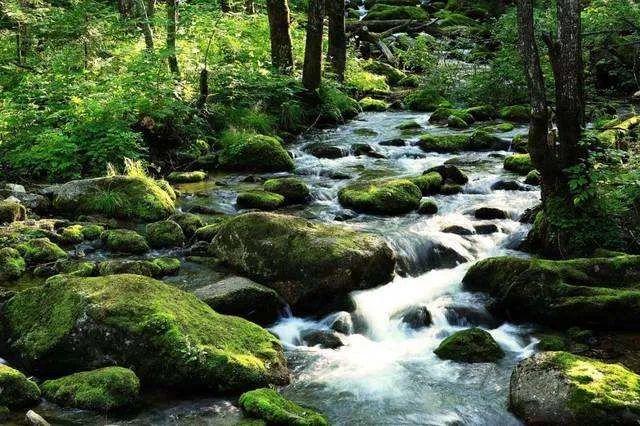 诗词鉴赏丨《诏问山中何所有赋诗以答》· 梁 · 陶弘景