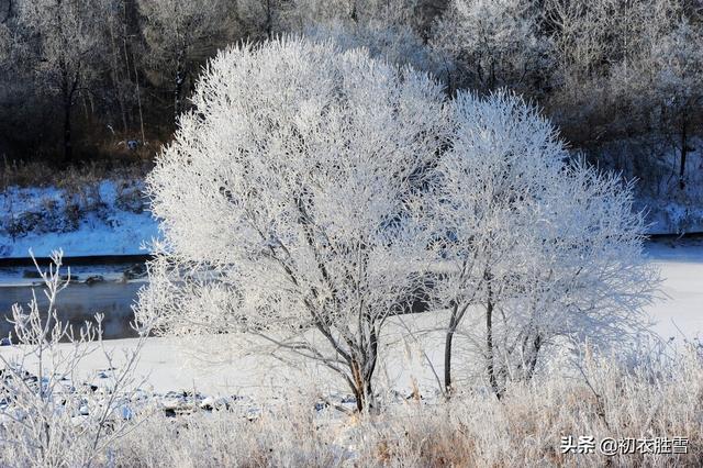 唯美春雪唐诗七首：春雪满空来，触处似花开