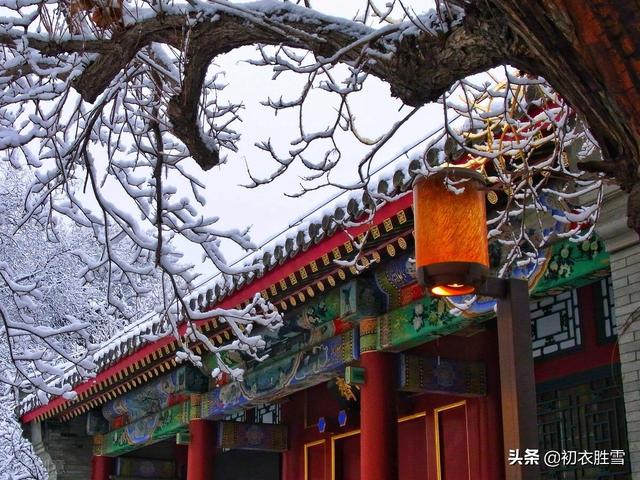 唯美春雪唐诗七首：春雪满空来，触处似花开