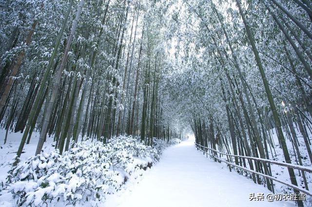 唯美春雪唐诗七首：春雪满空来，触处似花开