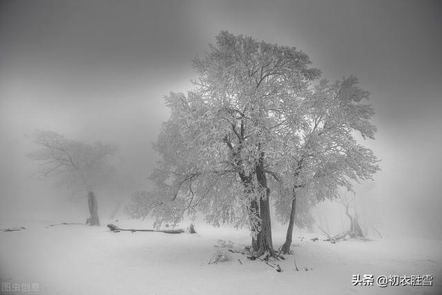 唯美春雪唐诗七首：春雪满空来，触处似花开