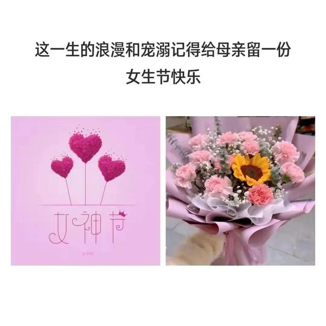 三八妇女节祝福高级文案，女神节快乐问候语，朋友圈暖心短句子