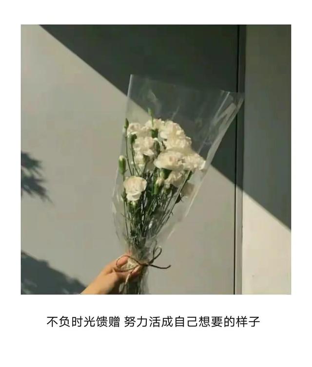 三八妇女节祝福高级文案，女神节快乐问候语，朋友圈暖心短句子