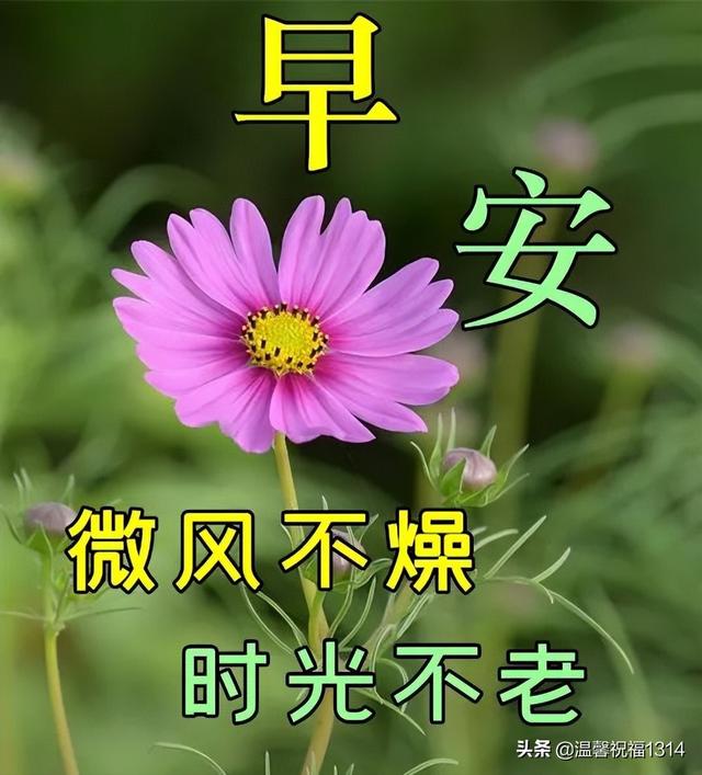 最新漂亮早安问候祝福动态图片，2022年最美暖心的问候祝福语