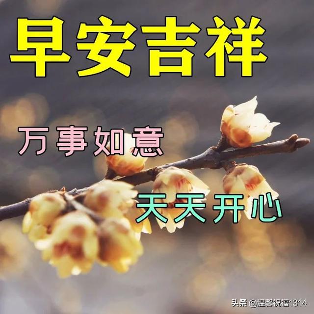 最新漂亮早安问候祝福动态图片，2022年最美暖心的问候祝福语