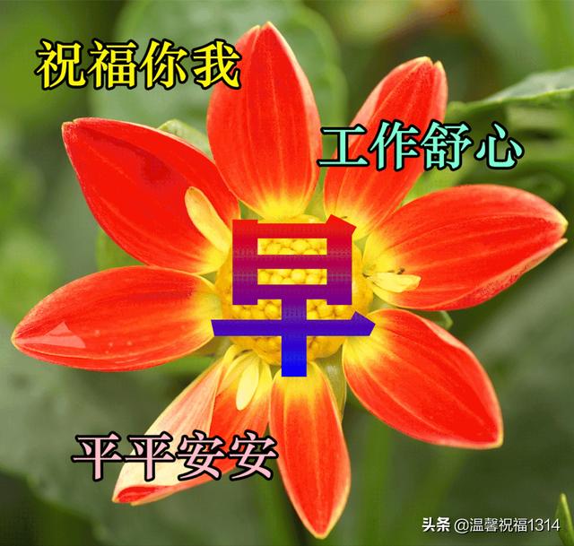 最新漂亮早安问候祝福动态图片，2022年最美暖心的问候祝福语