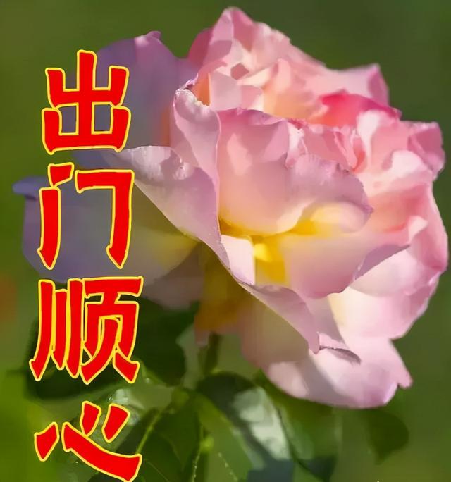 女神节｜最美的祝福送给你，全天下的女神们，祝你们节日快乐